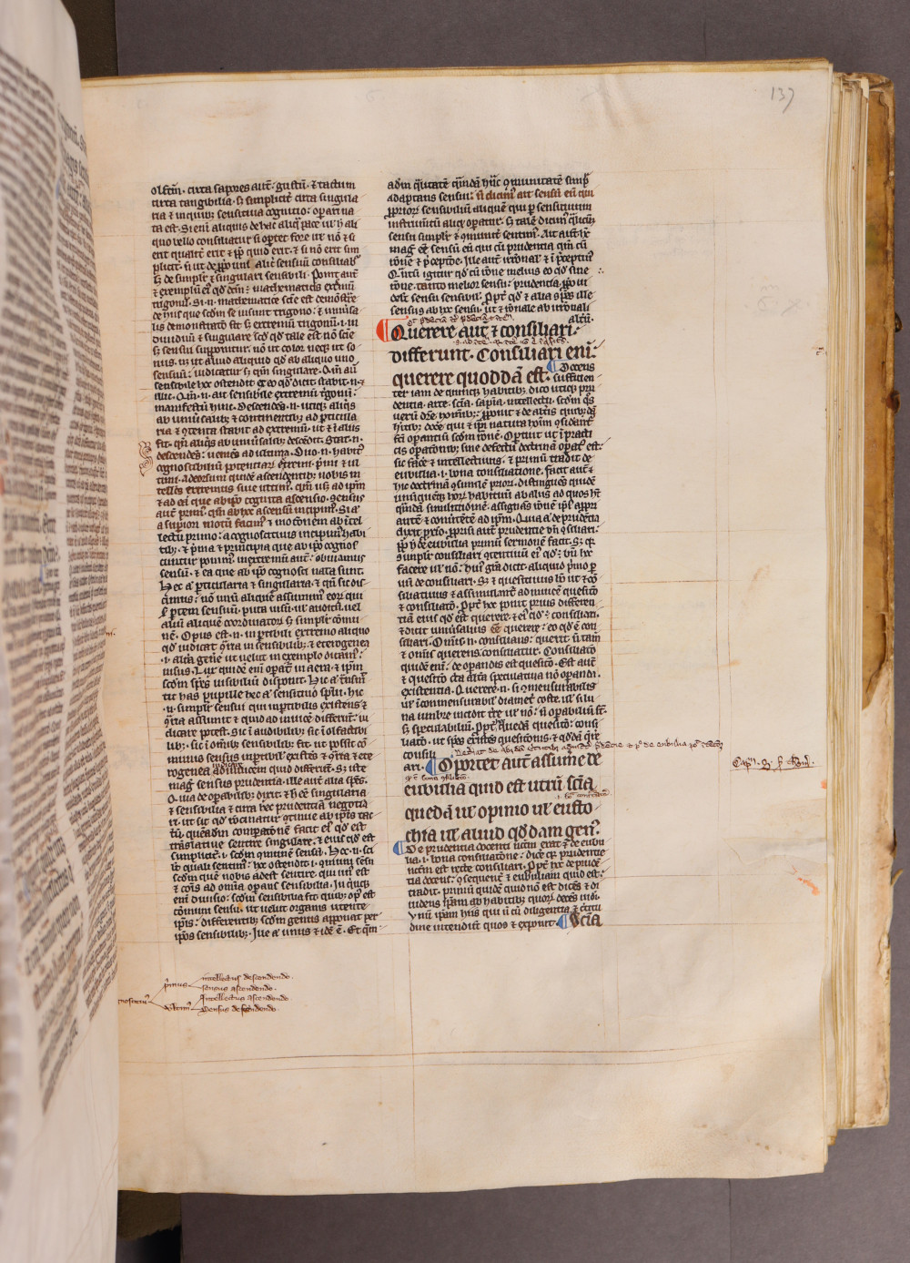 Folio 137 recto